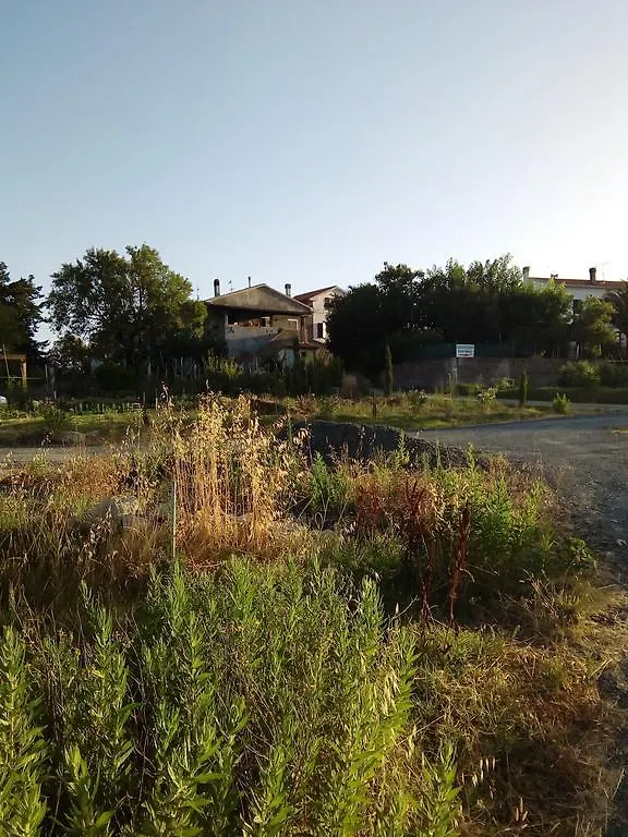 Carlo'S Country House Castellina Marittima 0*,