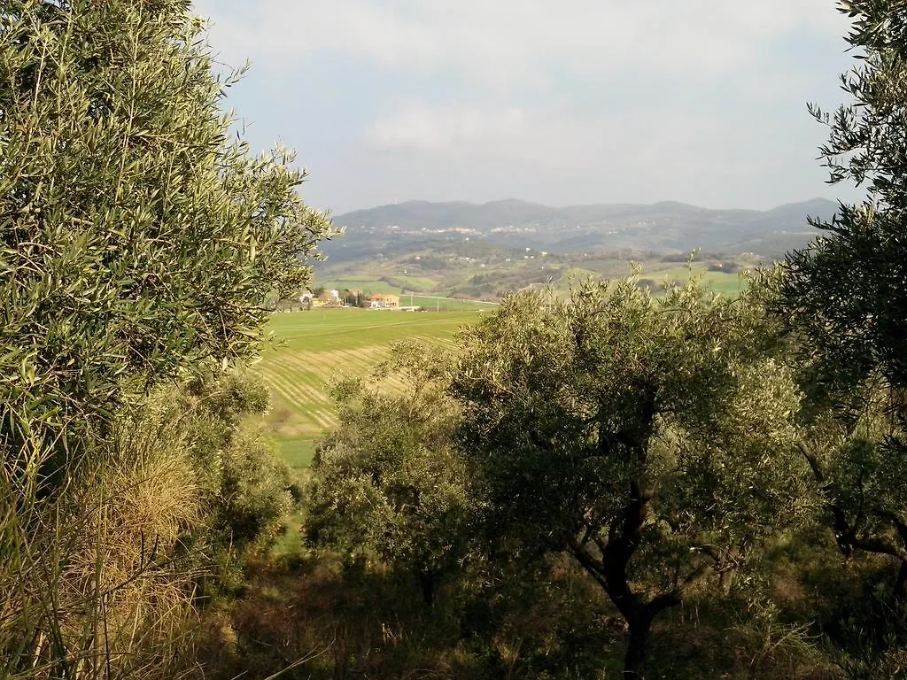 Carlo'S Country House Castellina Marittima 0*,
